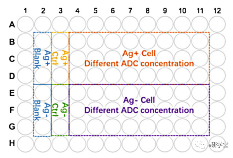 分享 | 抗体偶联药物（ADC）的体外细胞毒性研究